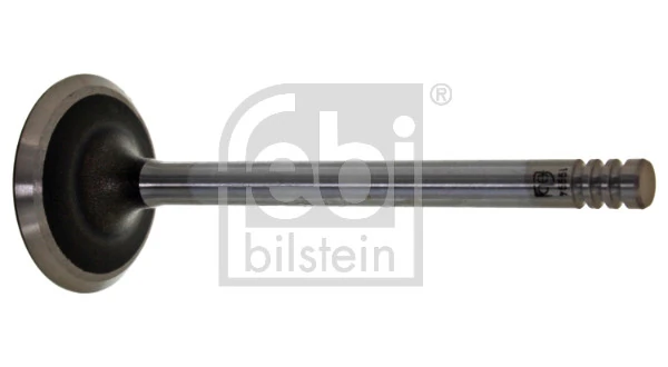 Intake Valve